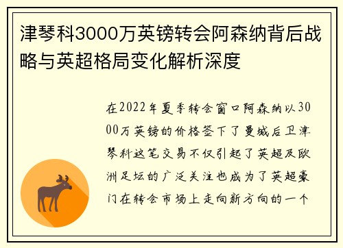津琴科3000万英镑转会阿森纳背后战略与英超格局变化解析深度 津琴科3000万英镑转会阿森纳背后战略与英超格局变化解析深度